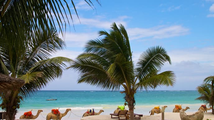 Enjoy White, Sandy Beaches
