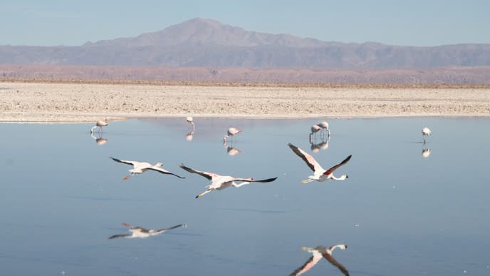 Atemberaubender Sternhimmel in der Atacama-Wüste
