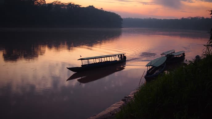 Head for the Amazon in Tambopata