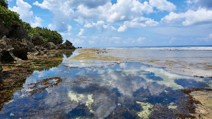 Take a tour of Siargao