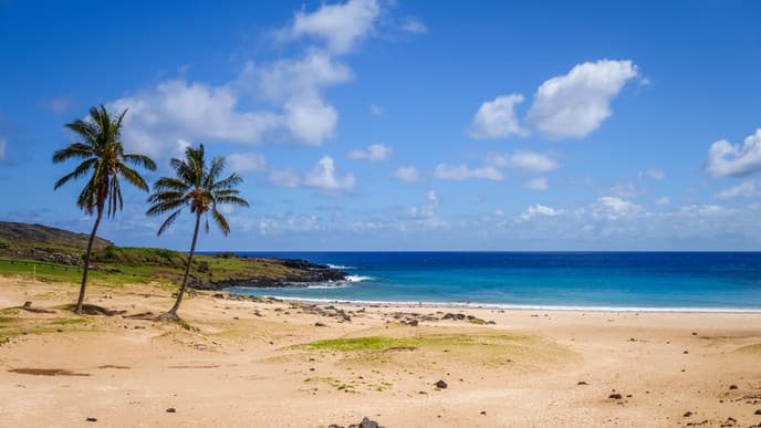 See the Beach, Petroglyphs, and Moai of Tongariki