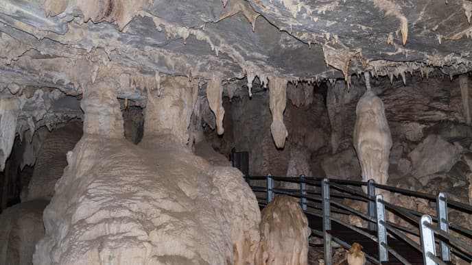 Cave Exploration and a Bat Exodus