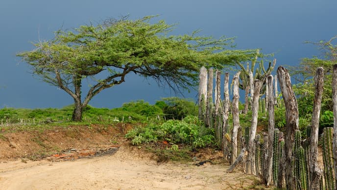 Abschied von La Guajira