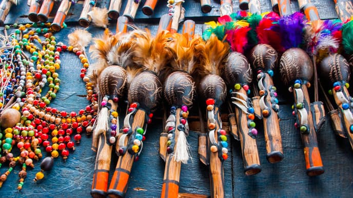 Die Amazonas Lotusblüte