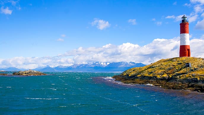 Enjoy Wildlife-Spotting on a Boat Ride