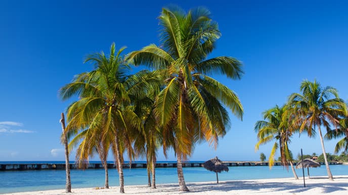 Ein Tag zwischen Krokodilen und Korallen