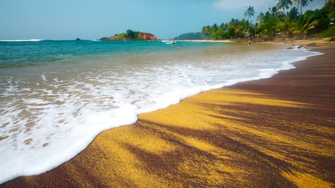 Go On A Bird-Watching Safari At Kalamatiya Bird Sanctuary