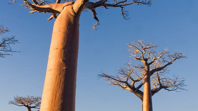 Freizeit in Morondava