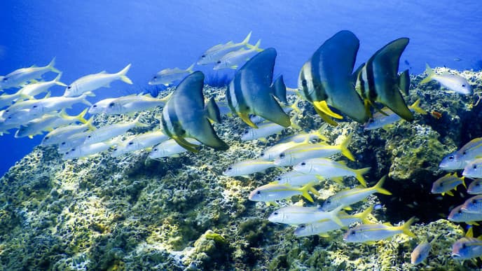 Second day in Phuket