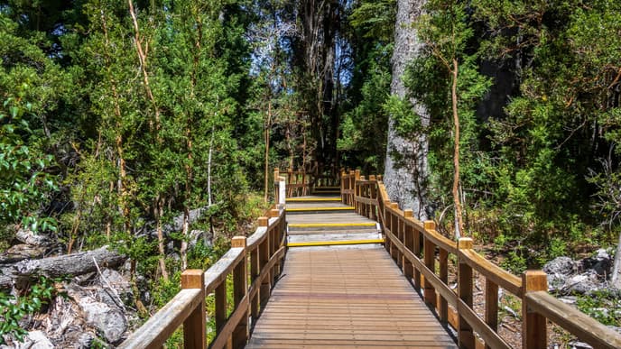 Explore Stunning Victoria Island