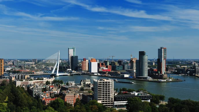 Roaming Rotterdam