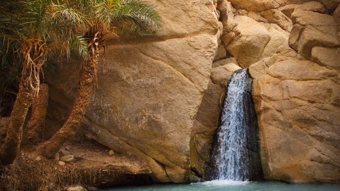 Culinary & carpet masterclasses