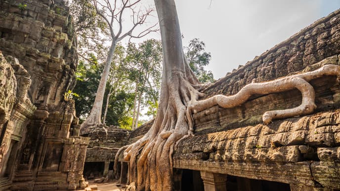 Von Siem Reap nach Banteay Srey