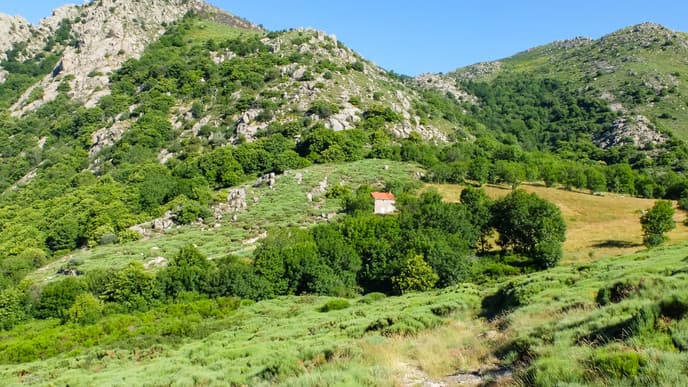 Welcome to Cévennes