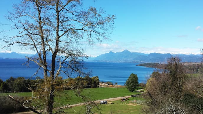 Die wahre Magie der Natur am Lago Ranco