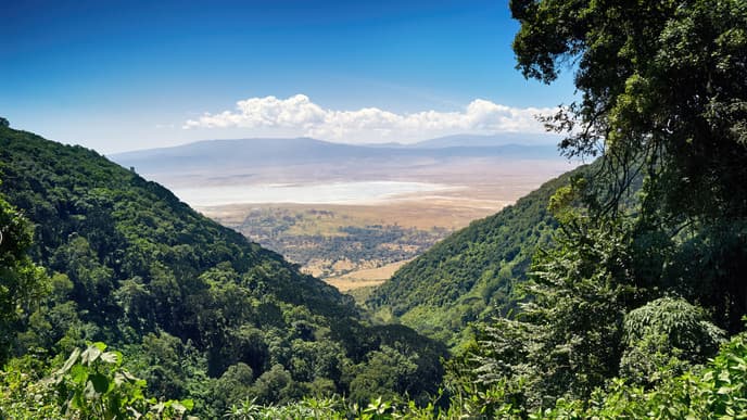 A Quest to the Crater