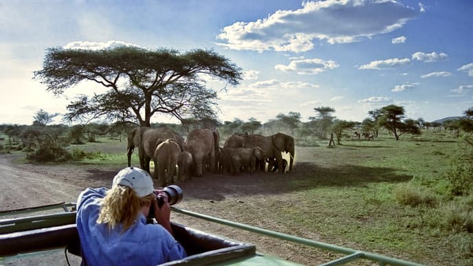 Entdeckungstouren durch das Masai Mara Nationalreservat
