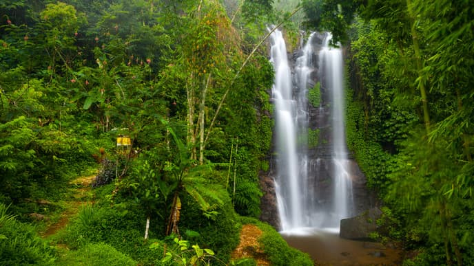 Waterfalls and Hot Springs