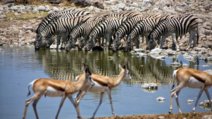 Dorfbesuch der Himba
