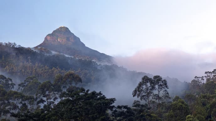 Train to Hatton & Adam's Peak night hike