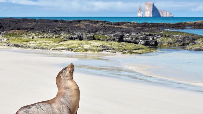 Snorkelling with island views