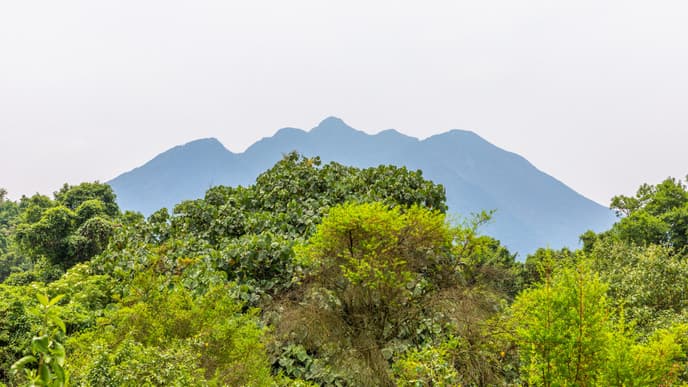 Experience rural Rwanda