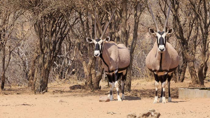 Abschied von Namibia
