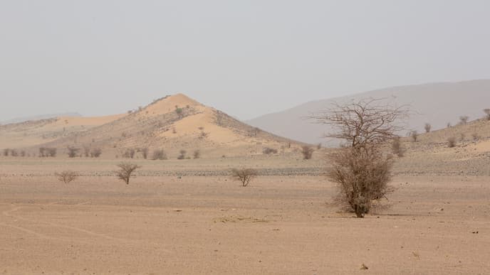 Landleben und Menschen auf dem Weg nach Tata