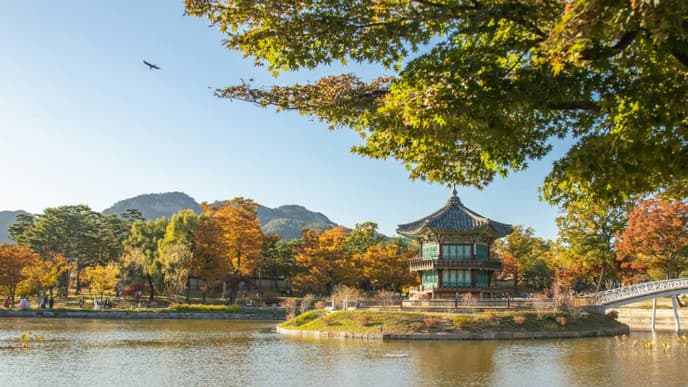 Immerse yourself in Seoul's culture
