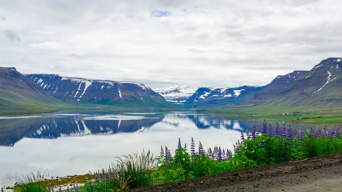 Dynjandi und die nördlichen Westfjorde