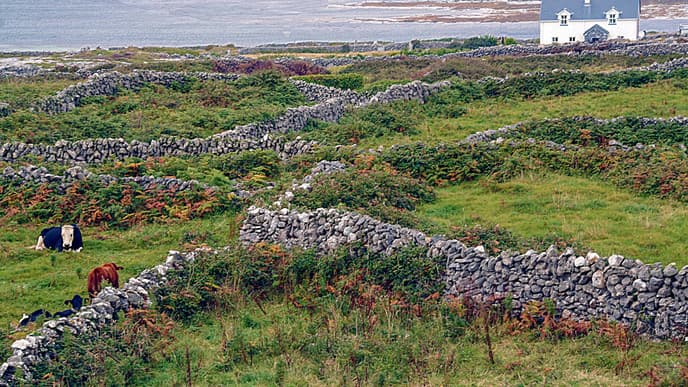 Set sail for Inishmore