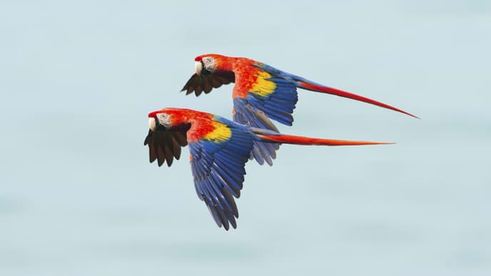 Explore the most biological intense place on earth