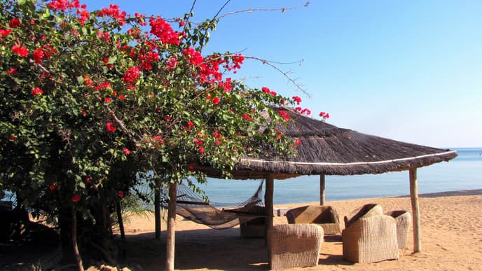 Arrival at Mango Drift Lodge