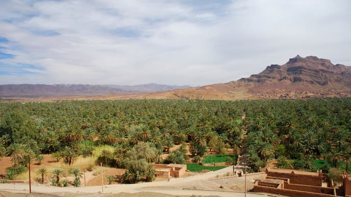 Palmenhaine und verfallende Schlösser