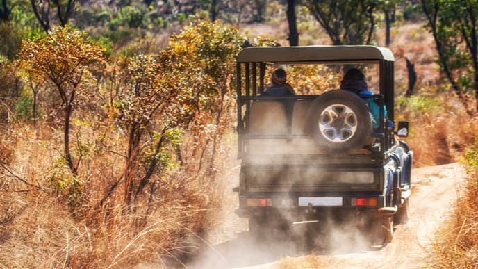 Last day with the elephants