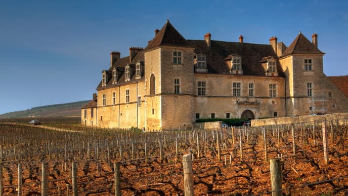 Explore The Wine and History Of Burgundy