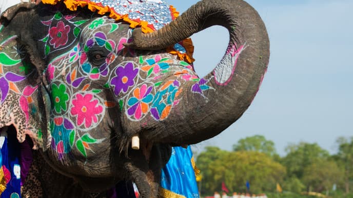 Indiens Kultur entdecken