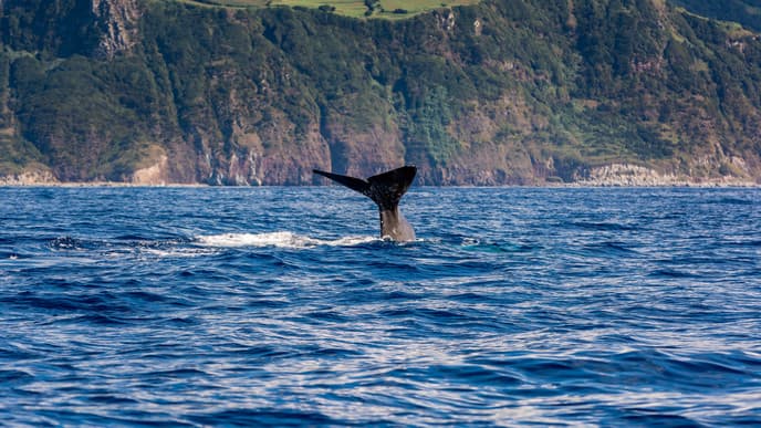 Free Day to Enjoy the Coast