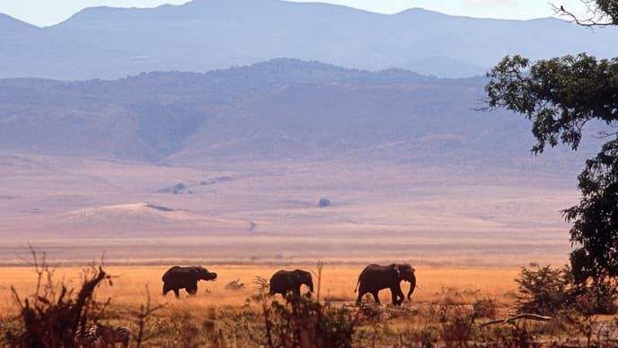 Visit the Stunning Ngorogoro Crater Floor