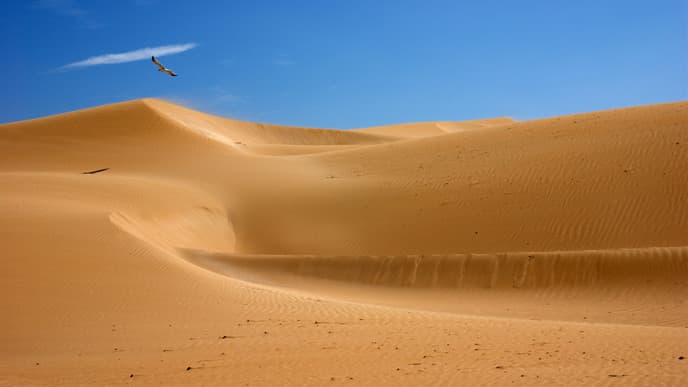 Hike across sweeping sand dunes