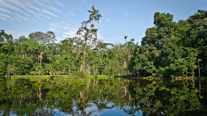 Zu Besuch bei den Einheimischen