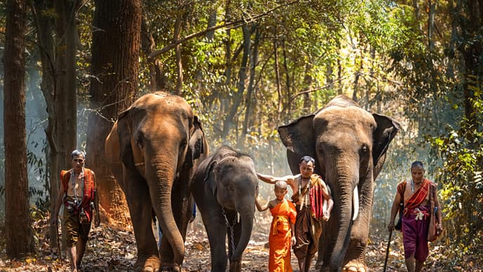 Special interactions with artisans & elephants