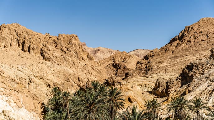 Hike & explore your surrounding natural beauty