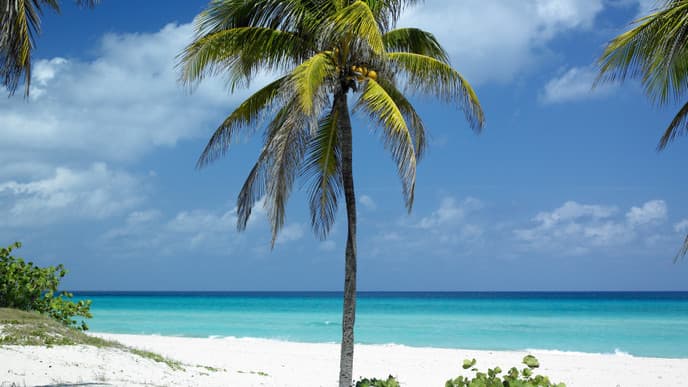 Head for the beach