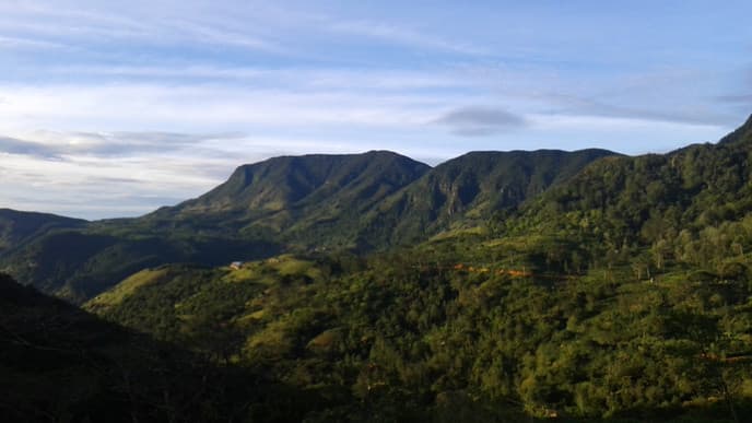 Delve into Buddhism in Kandy