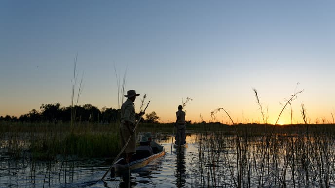 Into the Okavango
