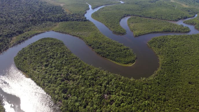 Der Amazonas ruft!