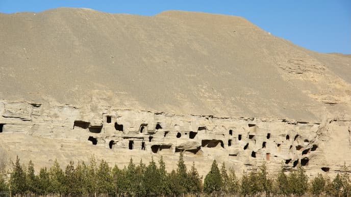 Venture Into the Gobi Desert