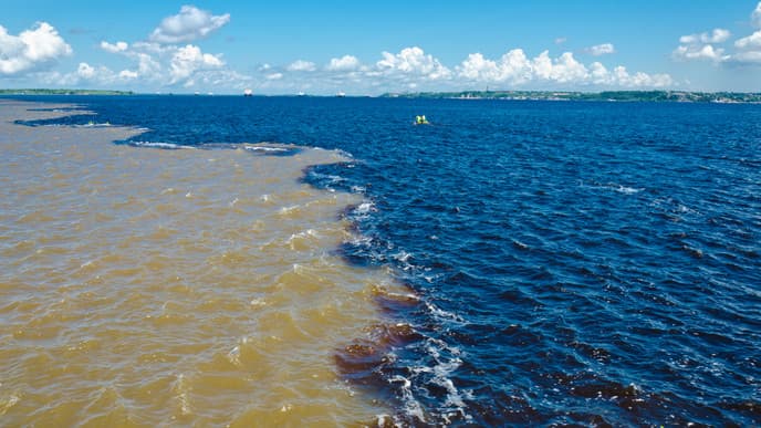 An den Ufern des Amazonas