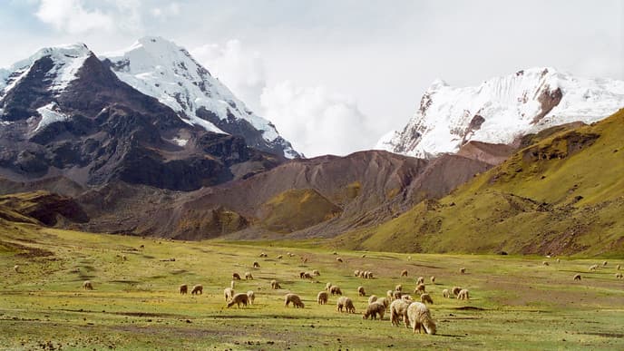 Embark on the Trail of the Apu Ausangate